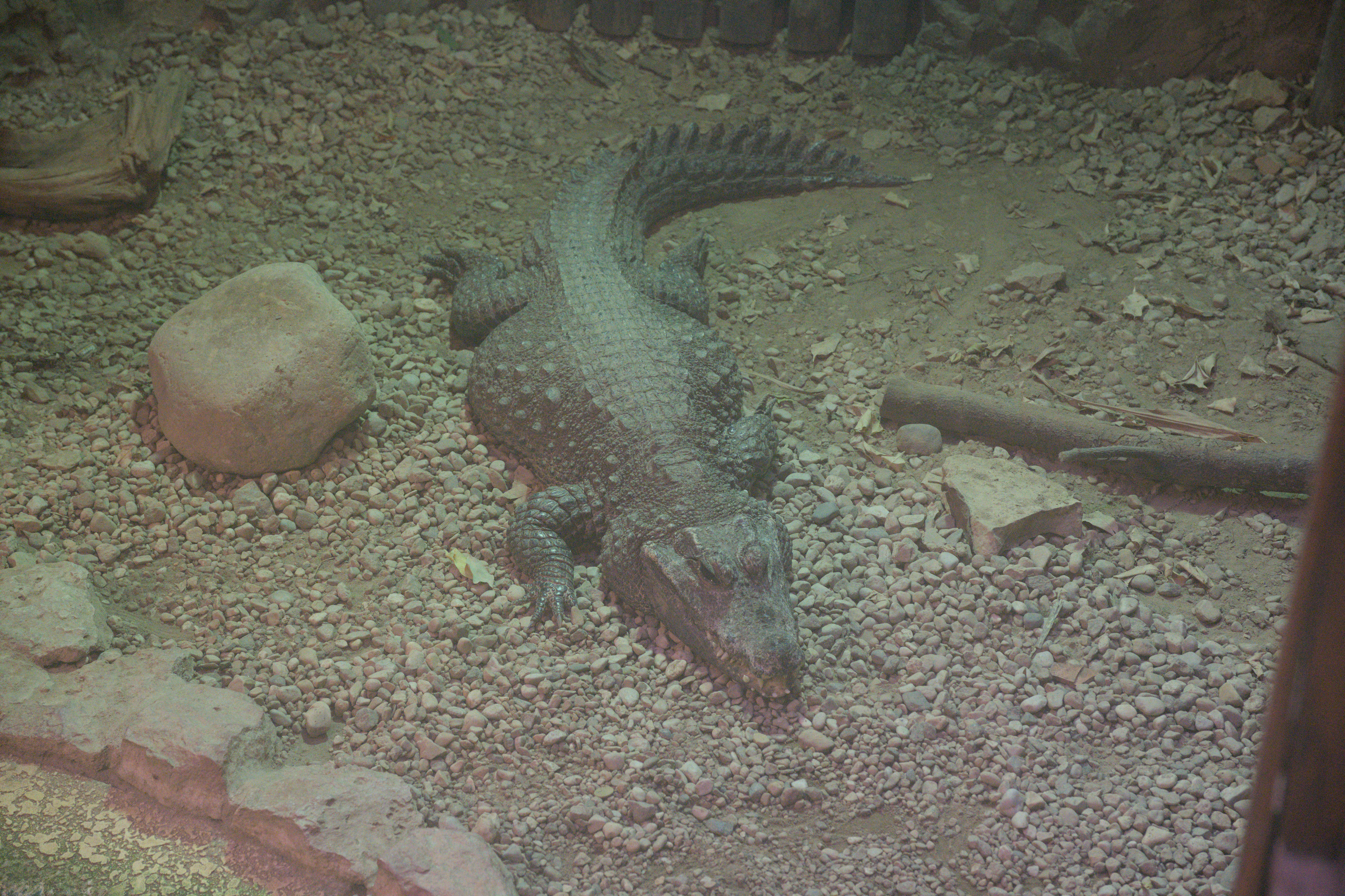 2025/10/12 - zoo/DSC_0152.jpg